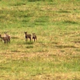 Screen Shot 2016-07-11 at 11.55.41 PM.jpg